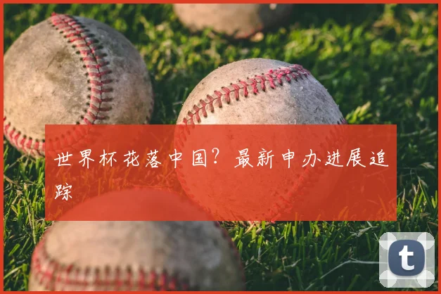 世界杯花落中国?最新申办进展追踪