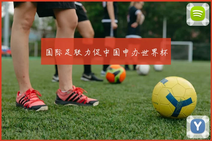 国际足联力促中国申办世界杯