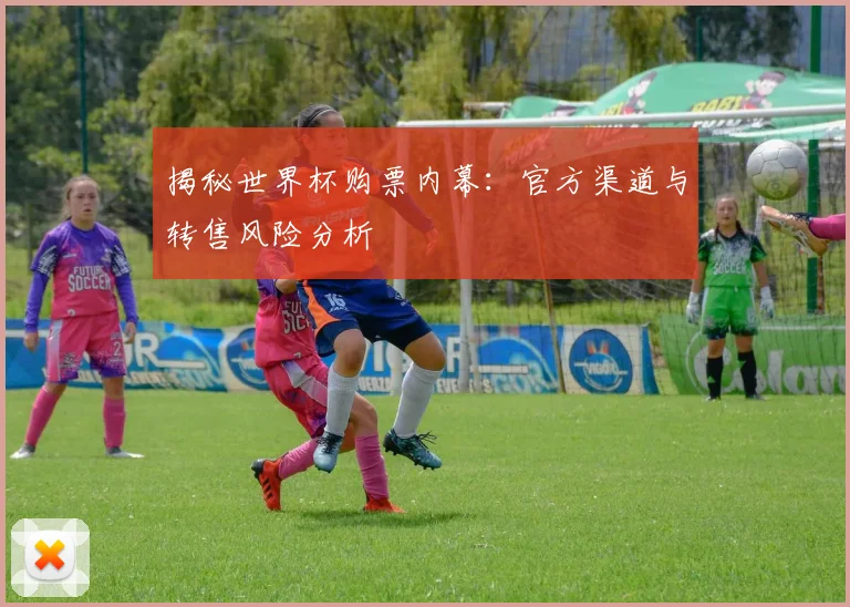 揭秘世界杯购票内幕：官方渠道与转售风险分析