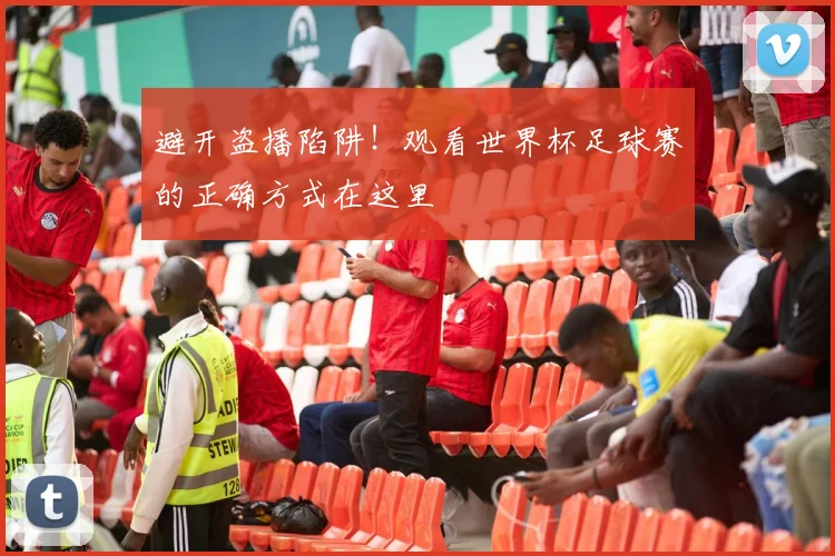 避开盗播陷阱！观看世界杯足球赛的正确方式在这里