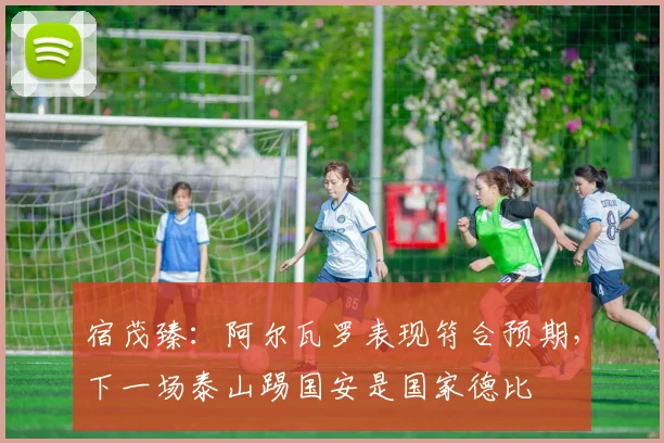 宿茂臻：阿尔瓦罗表现符合预期，下一场泰山踢国安是国家德比