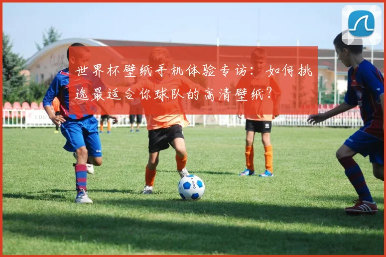 世界杯壁纸手机体验专访：如何挑选最适合你球队的高清壁纸？