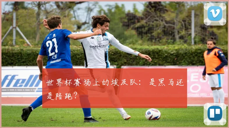 世界杯赛场上的埃及队：是黑马还是陪跑？