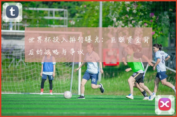 世界杯投入排行曝光：巨额资金背后的战略与争议