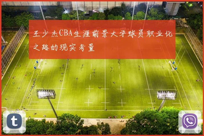 王少杰CBA生涯前景大学球员职业化之路的现实考量