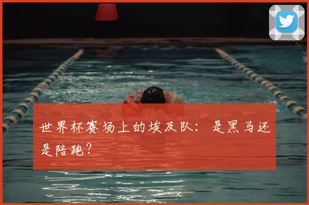 世界杯赛场上的埃及队：是黑马还是陪跑？